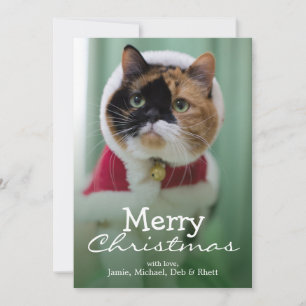 She is wearing a costume of Christmas Holiday Card