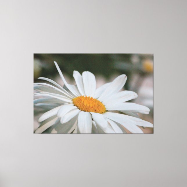 She Loves Me Canvas Print (Front)