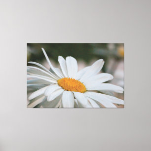 She Loves Me Canvas Print