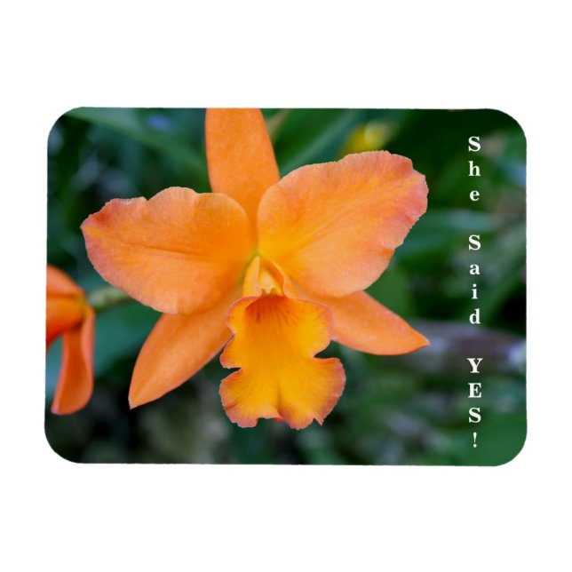She Said Yes Engagement Magnet (Horizontal)