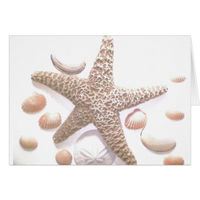 She sells sea shells (Front Horizontal)