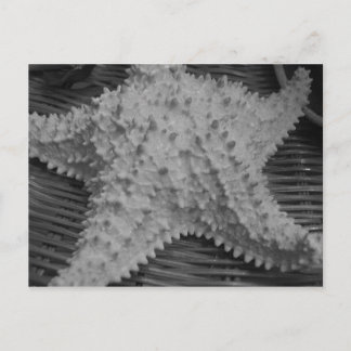 She sells seashells by the seashore postcard