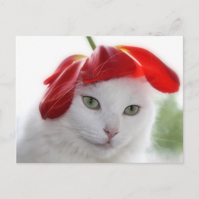 She Wore a Hat Shaped Like a Tulip Postcard (Front)