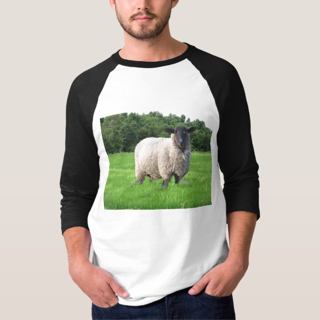 Sheal Basic 3/4 Sleeve Raglan T-Shirt (Front)