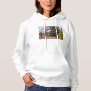 Shed Abandoned Hoodie