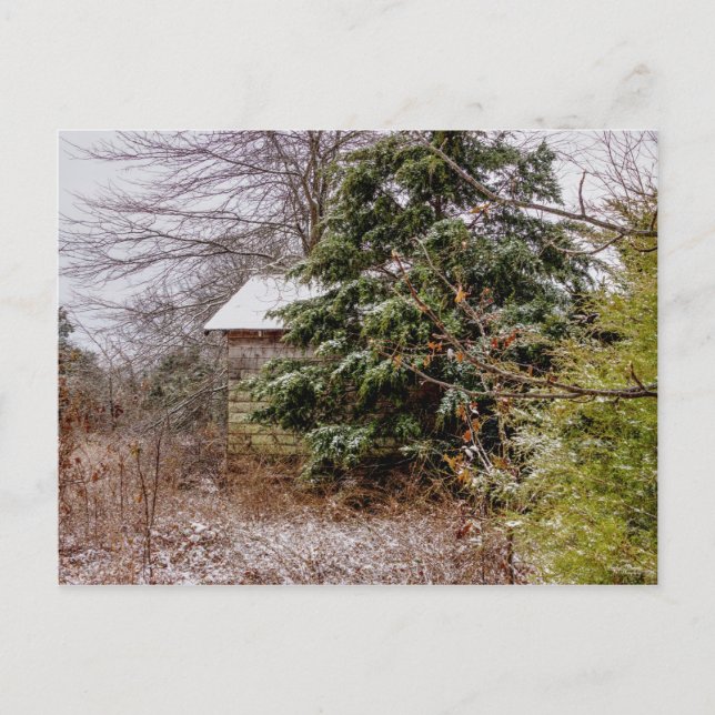 Shed Abandoned Post Card (Front)