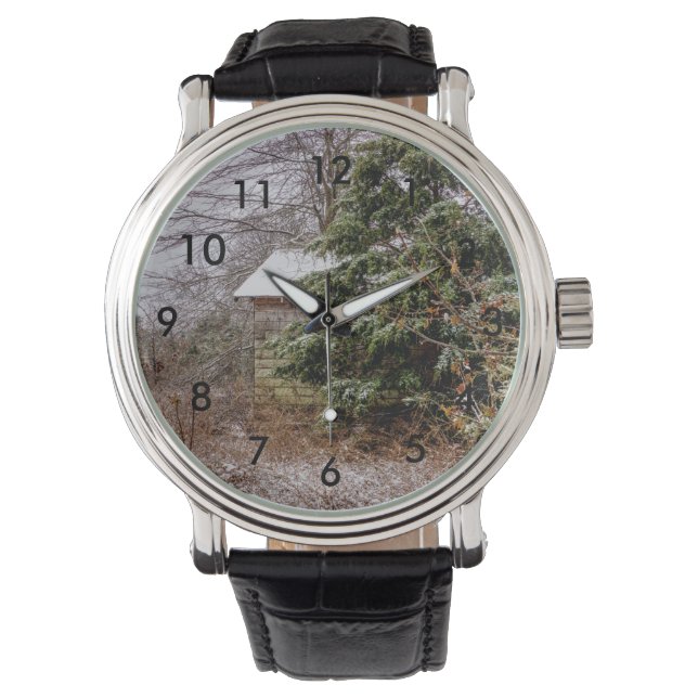 Shed Abandoned Watch (Front)
