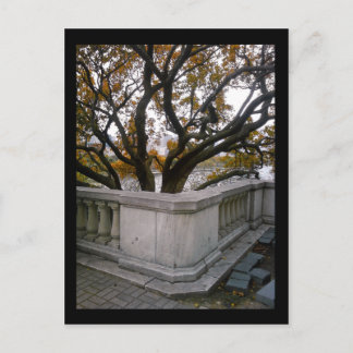 shedd aquarium :: autumn postcard