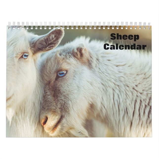 Sheep 2026 calendar (Cover)