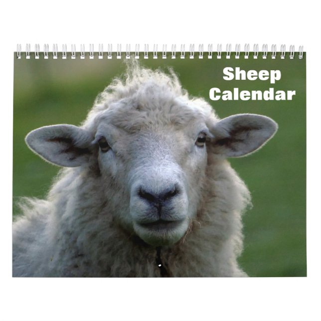 Sheep 2027 calendar (Cover)