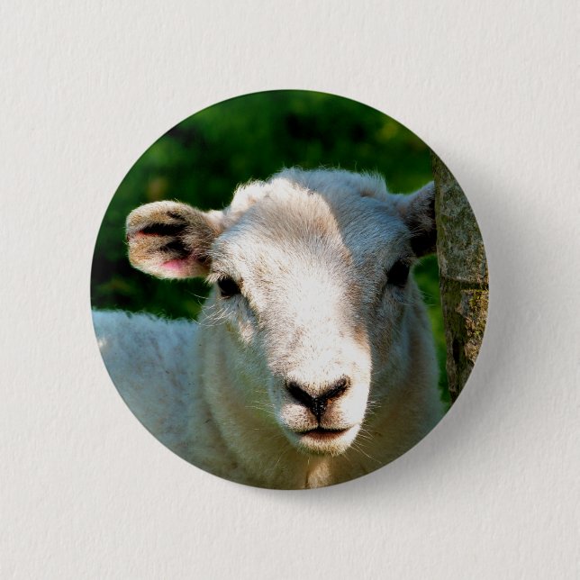 SHEEP 6 CM ROUND BADGE (Front)