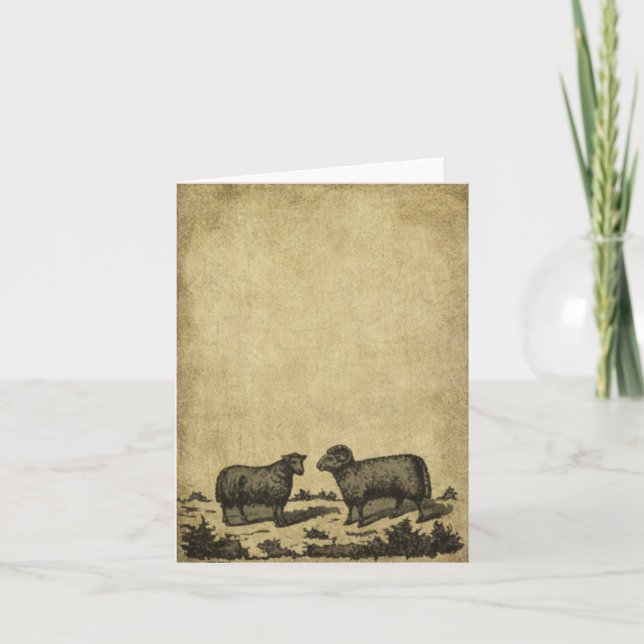 Sheep & A Ram- Prim Little Note Cards (Front)