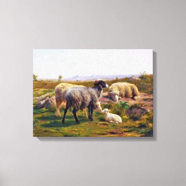 Sheep and a Lamb in Nature (by Rosa Bonheur) Canvas Print (Front)