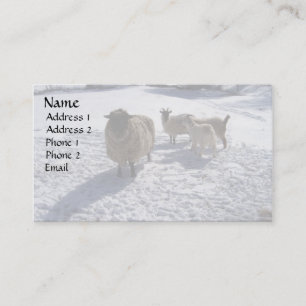 Sheep and Goats in April Snow Business Card