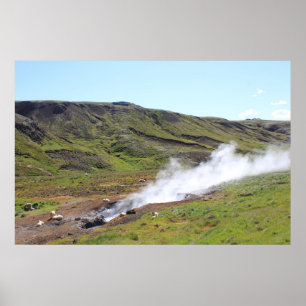 Sheep and hot spring poster