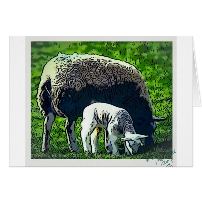 Sheep and lamb cartoon (Front Horizontal)