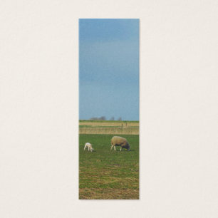 Sheep and Lamb Landscape Photo Bookmark Gift