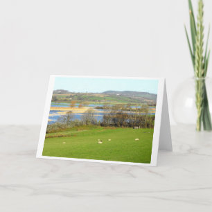 Sheep and the flooded River Exe Holiday Card