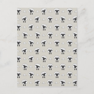 Sheep And Wool Postcard