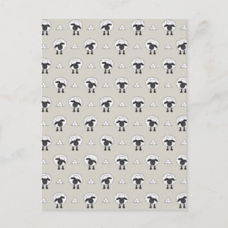 Sheep And Wool Postcard