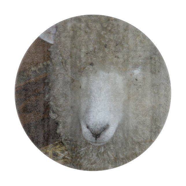 Sheep at the county fair cutting board (Front)