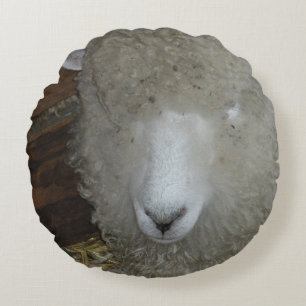 Sheep at the county fair round cushion