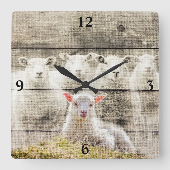 Sheep Baby Lamb Burlap Square Wall Clock (Front)