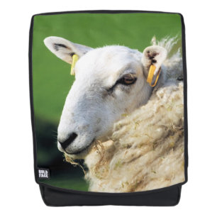 SHEEP BACKPACK