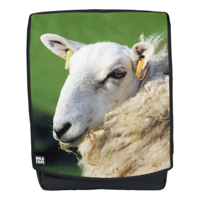 SHEEP BACKPACK (Front)