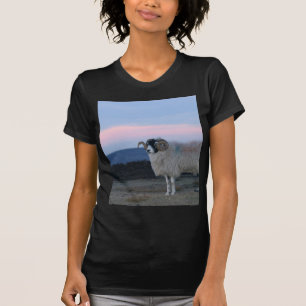 Sheep Black Fitted Ladies Tee Shirt