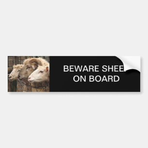sheep bumper sticker