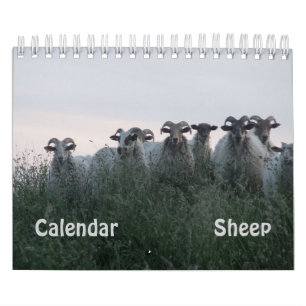 Sheep Calendar