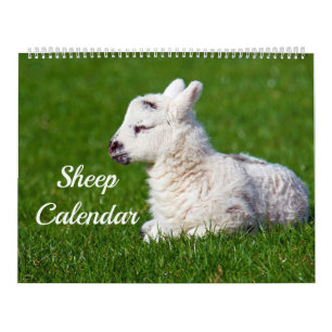 Sheep Calendar