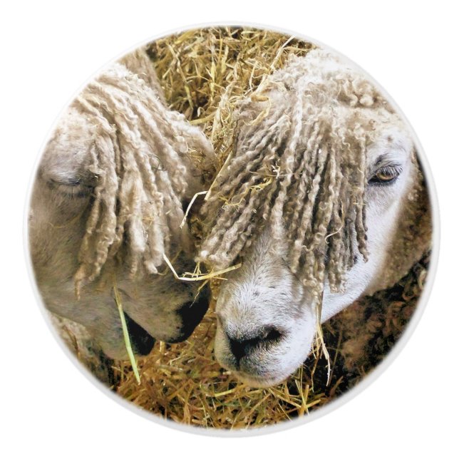 SHEEP CERAMIC KNOB (Front)