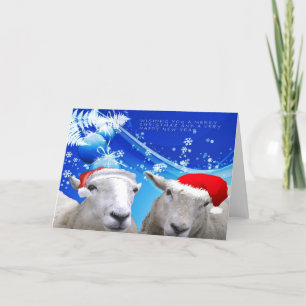 Sheep Christmas card.jpg Holiday Card