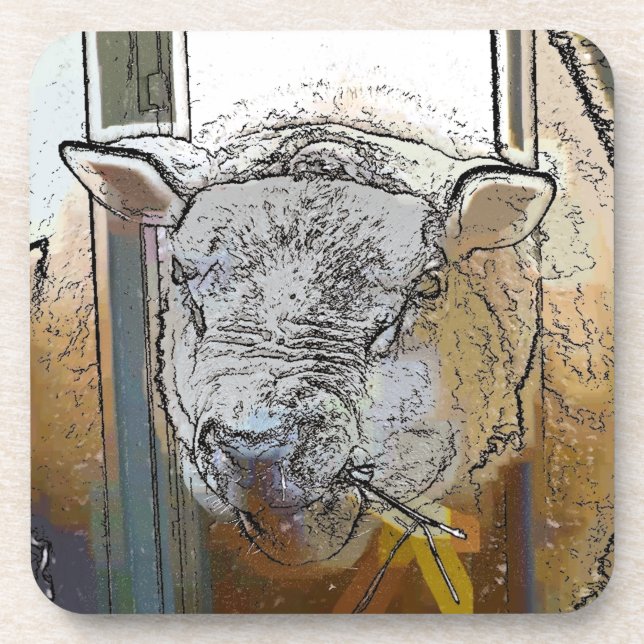 SHEEP COASTER (Front)