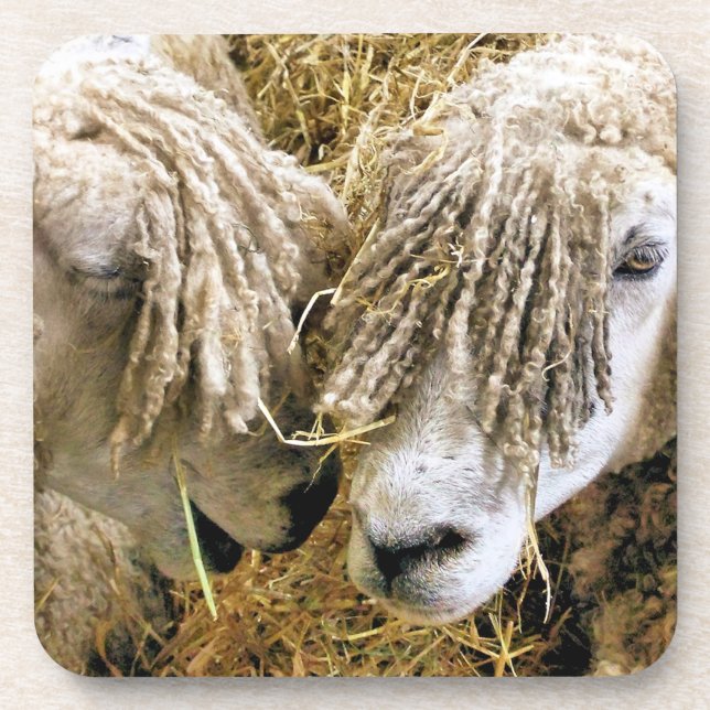 SHEEP COASTER (Front)