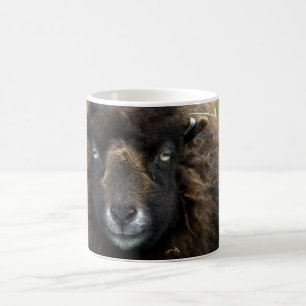Sheep Coffee Mug
