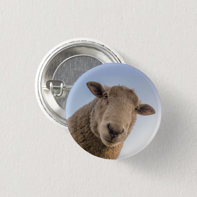 Sheep Face Close-up Looking Down 3 Cm Round Badge (Front & Back)