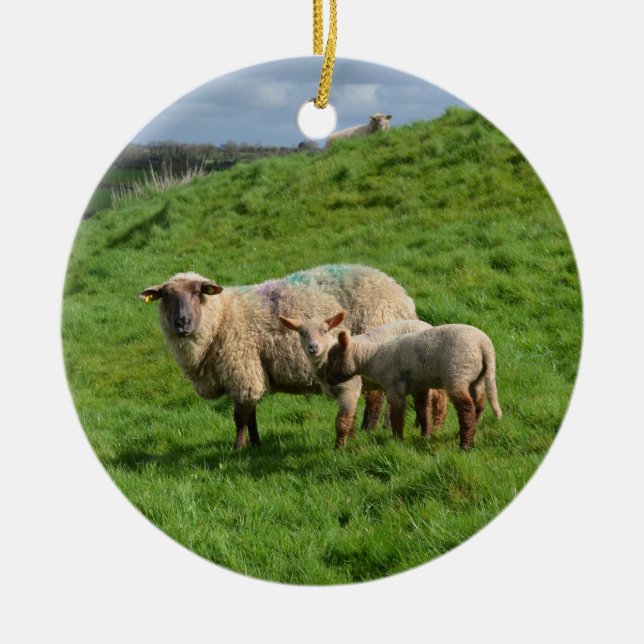 Sheep Family Ceramic Tree Decoration (Front)