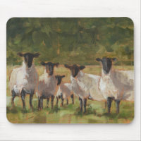 Sheep Family