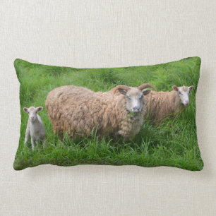 Sheep Family Pillow