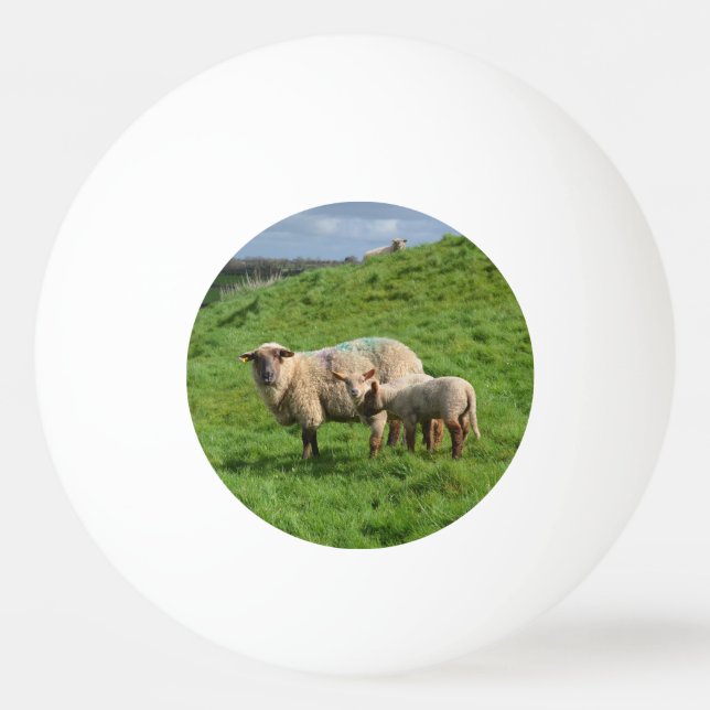 Sheep Family Ping Pong Ball (Front)