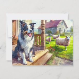 Sheep Farm and Border Collie Postcard