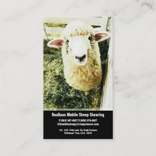 Sheep Farm or Shear Service Business Card