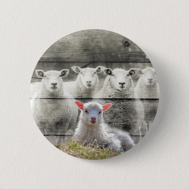Sheep Flock Baby Lamb 6 Cm Round Badge (Front)