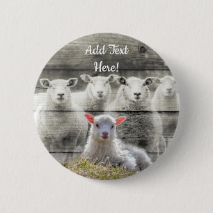 Sheep Flock Baby Lamb Button