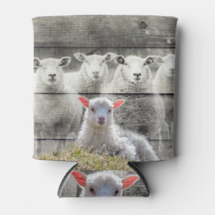 Sheep Flock Baby Lamb Can Cooler