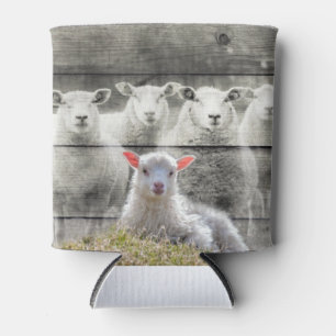Sheep Flock Baby Lamb Can Cooler