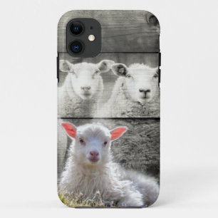 Sheep Flock Baby Lamb Case-Mate iPhone Case